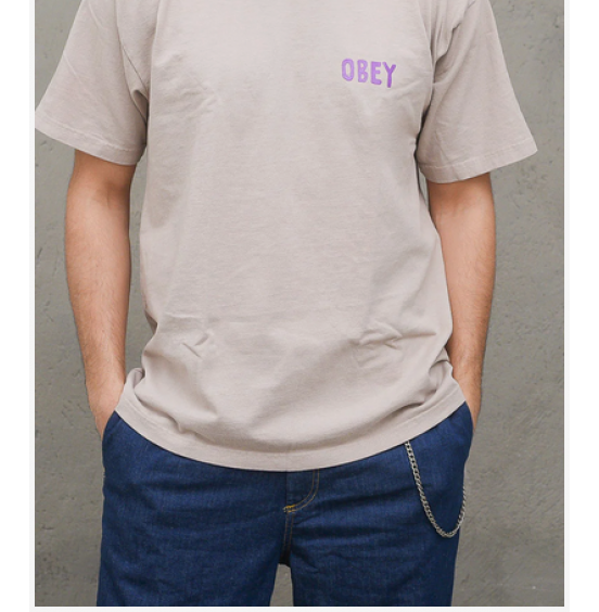 OBEY OG HEAVYWEIGHT CLASSIC BOX T-SHIRT HUMUS (166912601)
