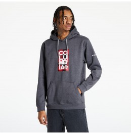COLUMBIA CSC BASIC LOGO II HOODIE GREY HEATHER (1681664009)