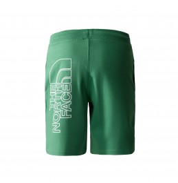 THE NORTH FACE M GRAPHIC SHORT DEEP GRASS GREEN (NF0A3S4FN111)