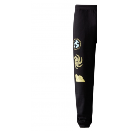 THE NORTH FACE M Half Dome Sweatpant NF0A7UODOBT TNF BLACK