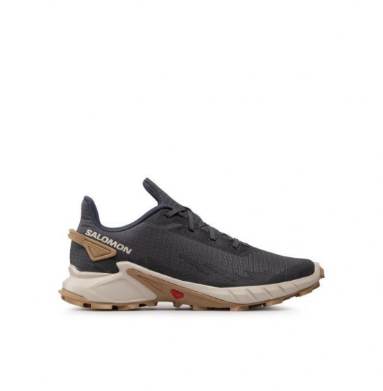 SALOMON ALPHACROSS EBONY/RAINY DAY/PHANTOM (417241)