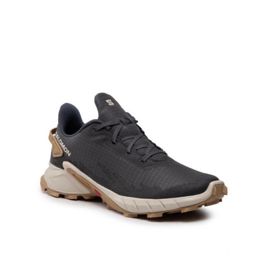 SALOMON ALPHACROSS EBONY/RAINY DAY/PHANTOM (417241)