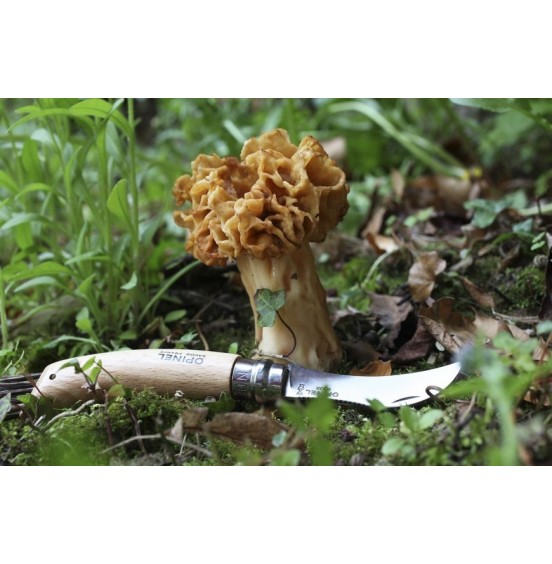 OPINEL ΣΟΥΓΙΑΣ ΜΑΝΙΤΑΡΙΩΝ CHAMPIGNON No8(001252)