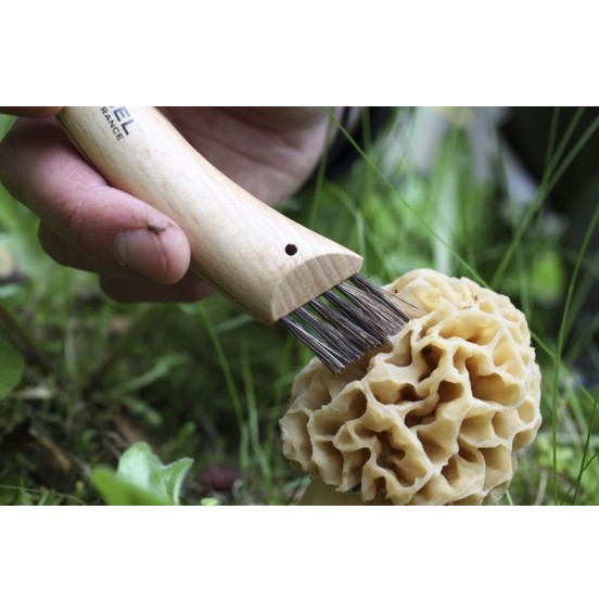 OPINEL ΣΟΥΓΙΑΣ ΜΑΝΙΤΑΡΙΩΝ CHAMPIGNON No8(001252)