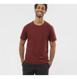 SALOMON PO ESSENTIAL SOLID CABERNET (C1717500)
