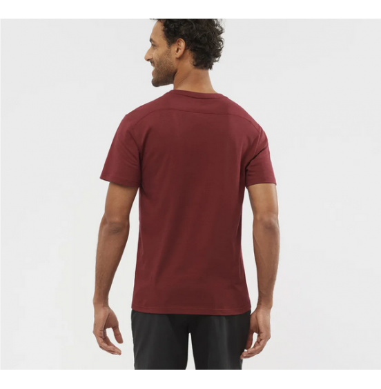 SALOMON PO ESSENTIAL SOLID CABERNET (C1717500)