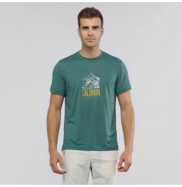 SALOMON EXPLORE GRAPHIC TEE BALSAM GREEN (LC1271700)