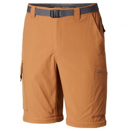 COLUMBIA SILVER RIDGE MENS PANTS (AS8004-257) DELTA
